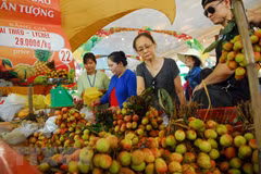 Southern fruit festival to take place in June 