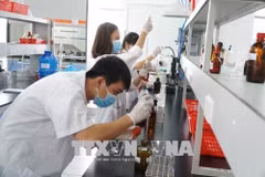 VietnamWorks: Recruitment demand expected to rise next year