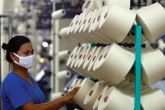 Hong Kong firms seek cooperation opportunities in Vietnam