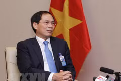 Diplomatic sector to focus on serving development: Deputy Foreign Minister 