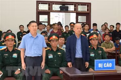 12-year jail sentence upheld for Dinh Ngoc He 