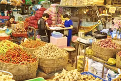 Domestic firms assisted to boost veggie, fruit exports to China