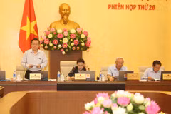 Lawmakers: Future ODA loans are still needed for Vietnam
