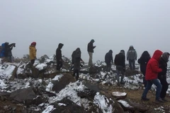 Lao Cai: Sa Pa forests covered by snow