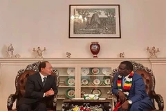 Zimbabwe, Vietnam should build on traditional ties: President