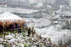 Sa Pa winter festival 2018 in full swing 