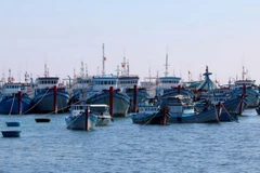 Seminar talks marine planning, coastal ecosystems in Mekong Delta
