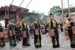 Cultural activities in November highlight great national unity