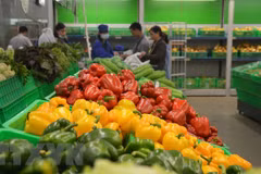 Vegetable, fruit exports hit 2.7 billion USD in eight months