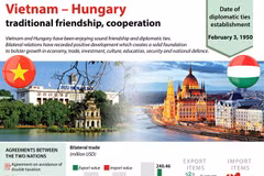 Vietnam-Hungary economic ties have large room to grow 
