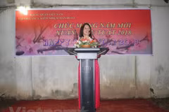Vietnamese community in Sri Lanka celebrates Tet 