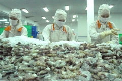 Australian delegation examines shrimp processing chain in Vietnam