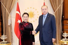 NA Chairwoman meets with Turkish President