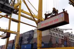 Da Nang Port handle first cargo batch of 2018