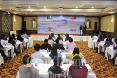 Vietnam-South Africa trade to hit 2 billion USD in 2019
