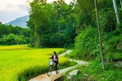Heaven comes to earth in Loc Yen