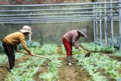 More investment needed for agriculture sector