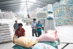 World Rice Conference to be held in Hanoi next month