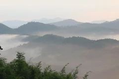 Thailand: Cold weather draws visitors to North, Northeast