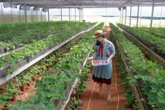 HCM City boosts cooperation with Japanese localities