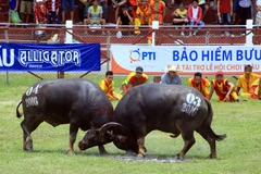 Ministry of culture: Festivals should stop violence