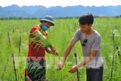 Connectivity helpful for cooperatives to create own strength