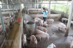 Online animal health information system announced