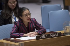 Vietnam calls on UN Security Council to solve Israel-Palestine conflict