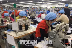 EVFTA to act as catalyst for textile, footwear exports: experts 