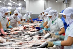 Tra fish exports surge in seven months