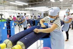 Mexico to face fierce competition from Vietnam: Mexican economists 
