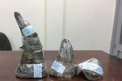 16 organisations call for strict handling of wildlife trafficker