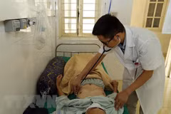 Tra Vinh reports one death over swine flu