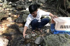 27 wild animals returned to the wild in Kon Tum