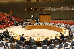 Vietnam concerned over escalating conflict in Gaza Strip 