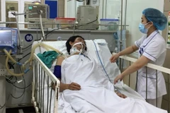 More alcohol poisoning cases reported as Tet draws near