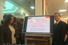 Vietnamese culture day held in Egypt’s Damietta province