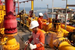 Vietnam Oil and Gas Group tops Profit500 Ranking