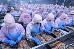 Vietnam - world’s top emerging economy: experts