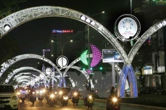 Photo exhibition on APEC Year 2017 opens in Da Nang 