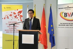 Belgian businesses seek cooperation opportunities in Vietnam
