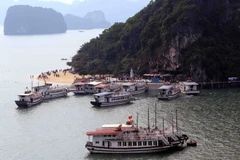 Ha Long city to inspect operations of tourist boats 