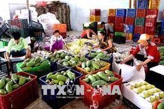 Vietnam increases export of industrial, aquaculture products to China 