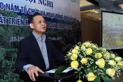 Vietnam to collect over 100 mln USD from forest environment services in 2018