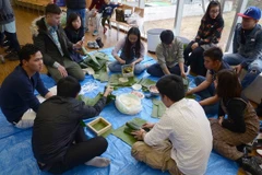 Overseas Vietnamese celebrate traditional New Year