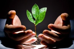 State budget to offer start-ups 30 percent of investment 