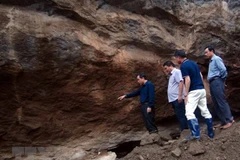 Illegal gold mine collapses, two go missing