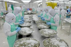 Aquatic product exports rake in 7.24 billion USD in 10 months