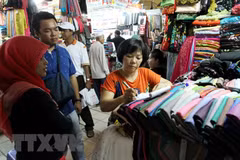 HCM City seeks visa waiver extension to boost tourism
