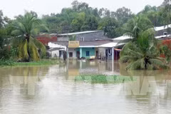 Torrential rains wreak havoc on Quang Nam